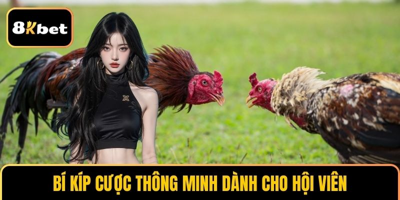Bí kíp đặt thông minh của mô hình này 8KBET