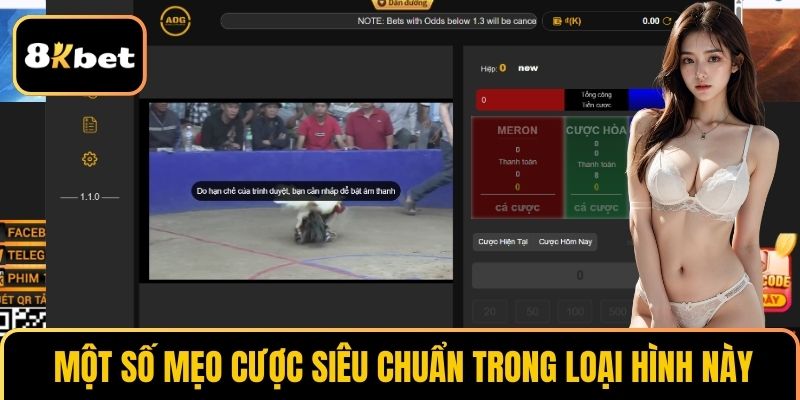 Một số mẹo cược siêu chuẩn trong loại hình này