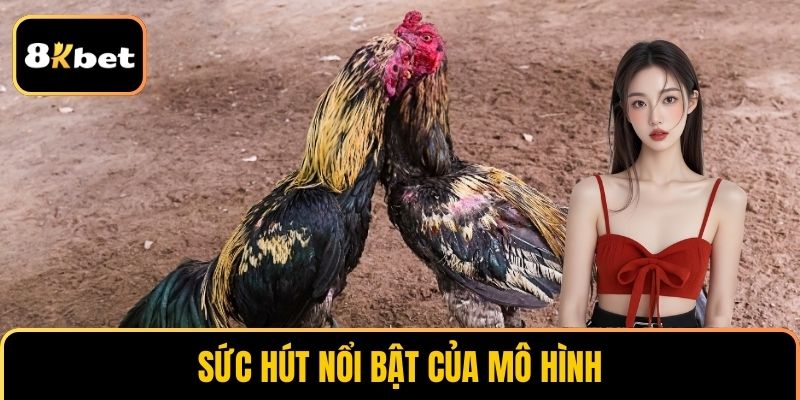 Sức hút nổi trội của mô hình này tại 8KBET