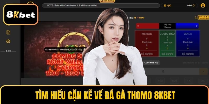 Tìm hiểu cặn kẽ về đá gà Thomo 8KBET