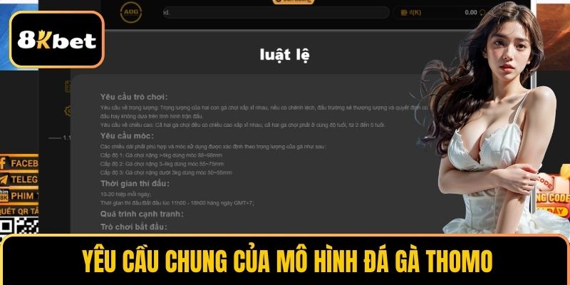 Yêu cầu chung của mô hình đá gà Thomo