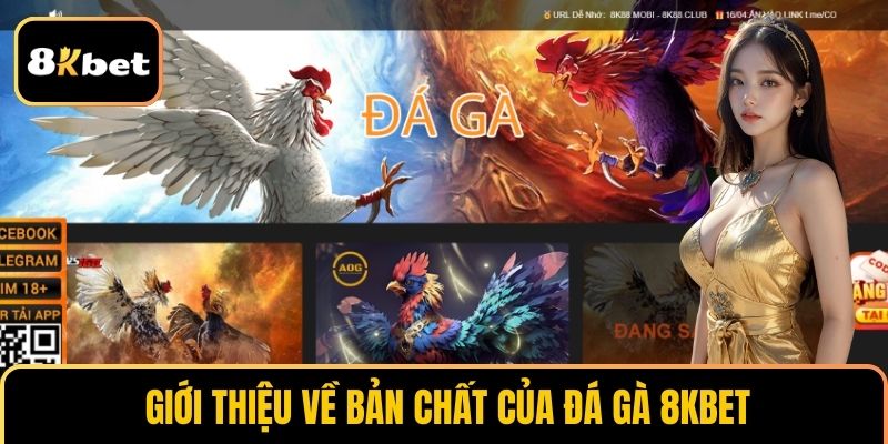 Giới thiệu về bản chất của đá gà 8KBET