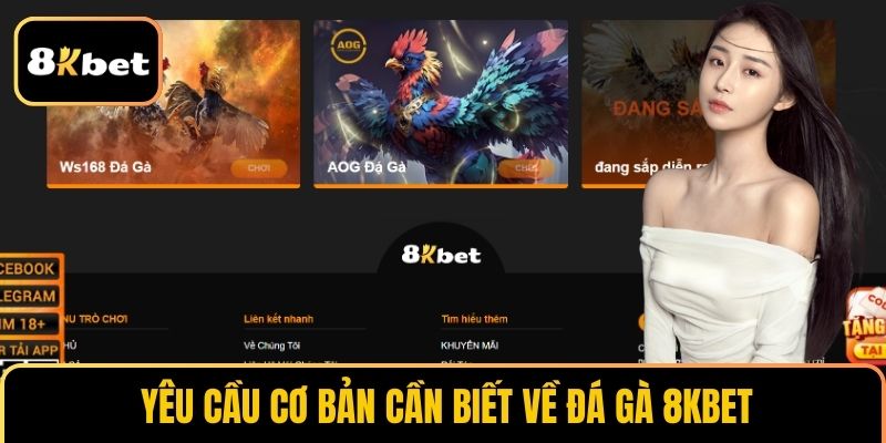 Yêu cầu cơ bản cần biết về đá gà 8KBET